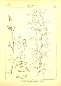 n56_w1150