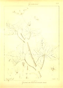 n50_w1150