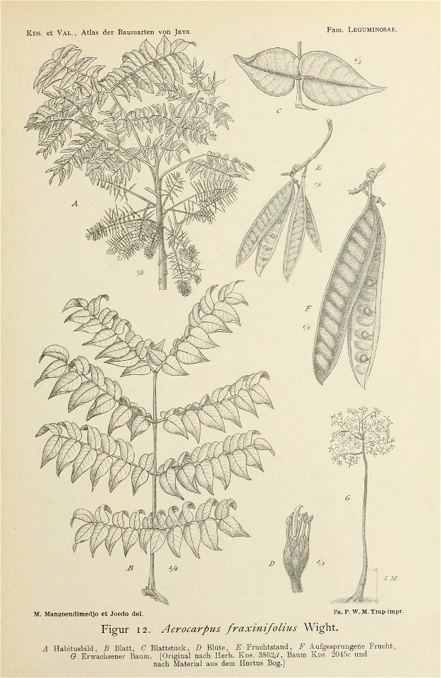 n50_w1150