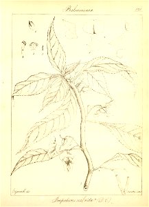 n49_w1150