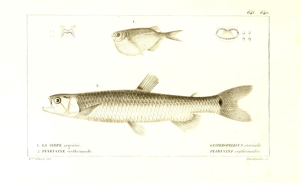 n286_w1150