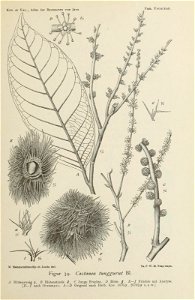 n104_w1150
