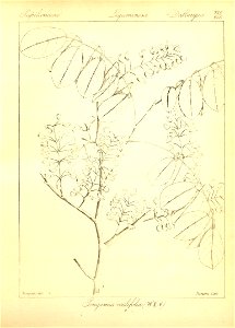 n54_w1150