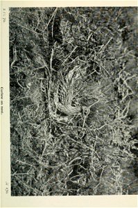 n252_w1150