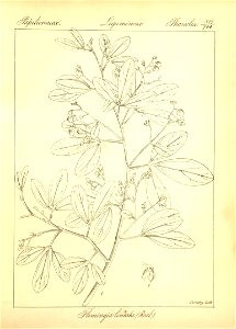n53_w1150