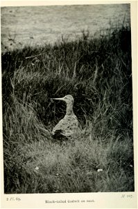 n247_w1150