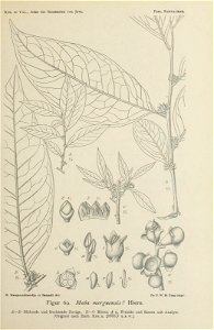 n170_w1150