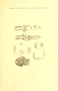n152_w1150