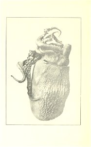 n177_w1150