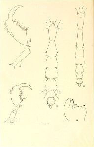 n131_w1150