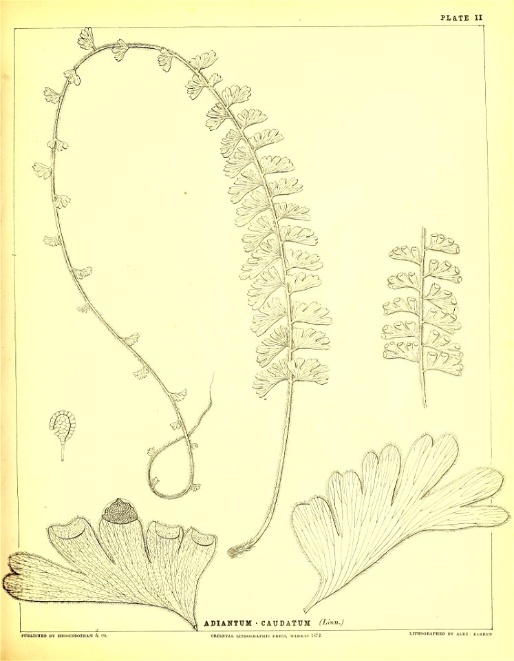 n116_w1150