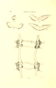 n143_w1150
