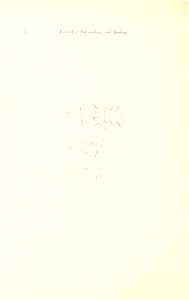 n65_w1150