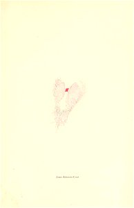 n172_w1150