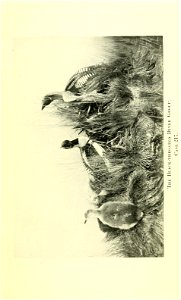 n86_w1150
