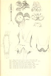 n16_w1150