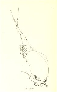 n49_w1150