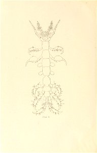 n129_w1150