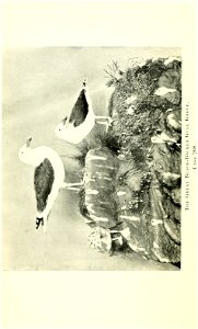 n81_w1150