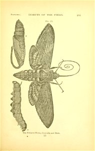 n216_w1150
