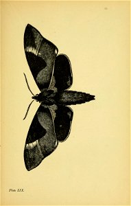 n418_w1150