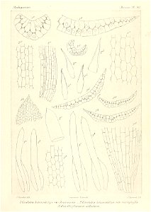 n946_w1150
