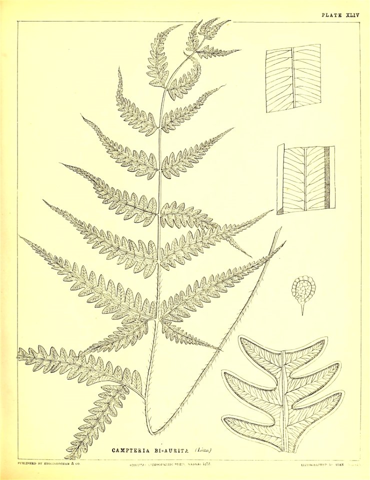 n202_w1150
