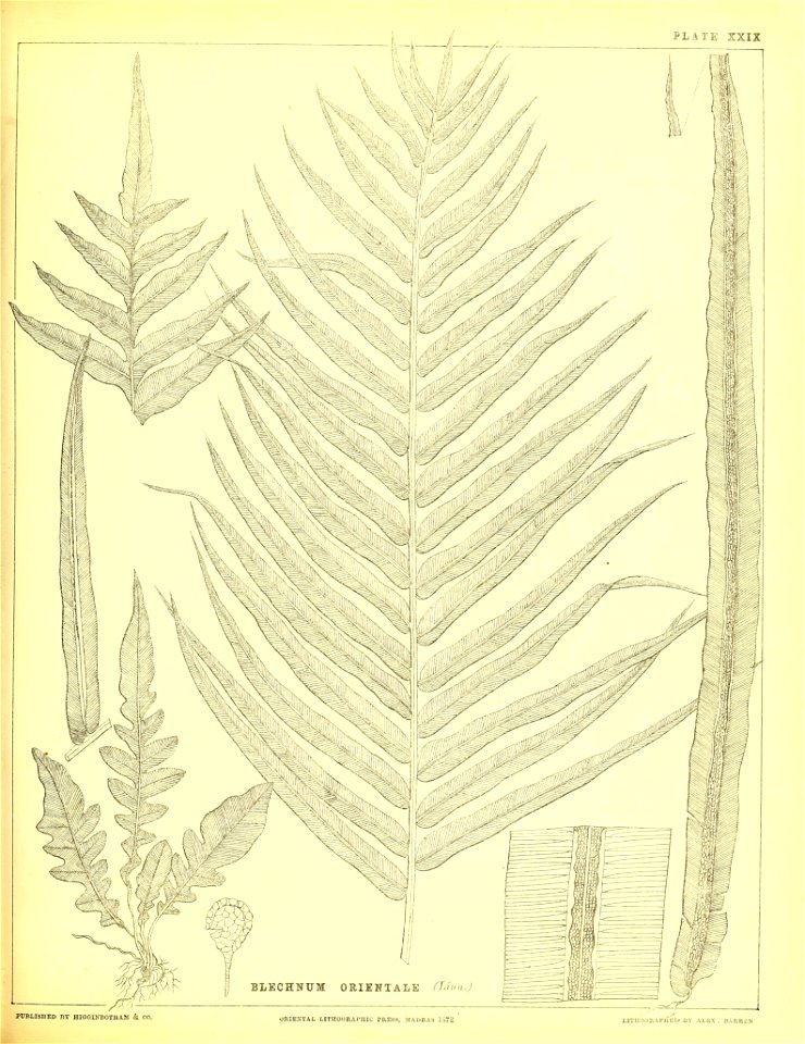 n172_w1150