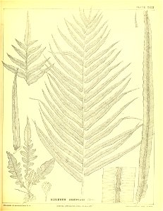 n172_w1150