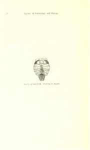 n123_w1150