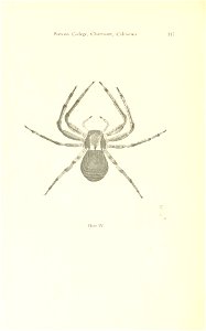 n167_w1150