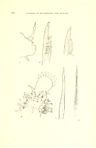 n44_w1150