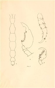 n128_w1150