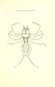 n58_w1150