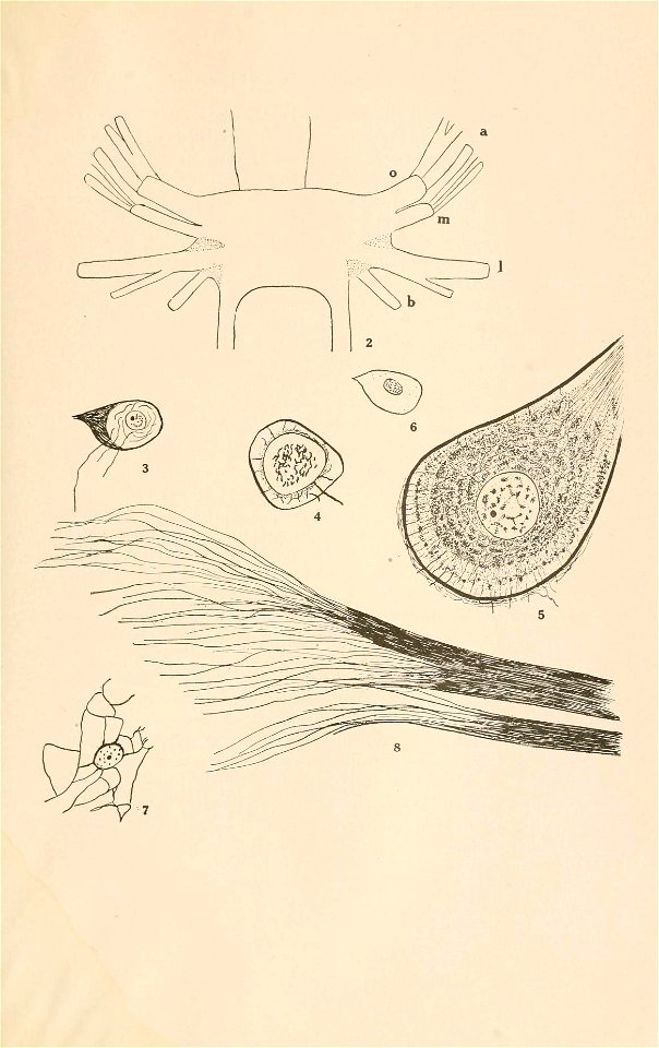 n116_w1150