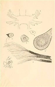 n116_w1150