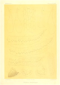 n942_w1150
