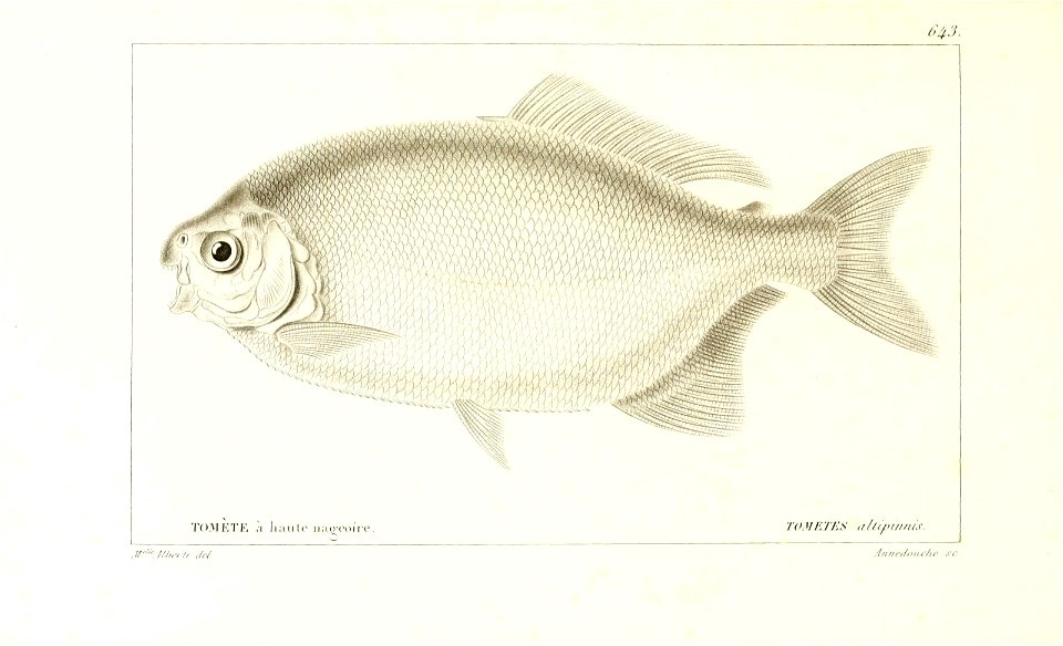 n290_w1150