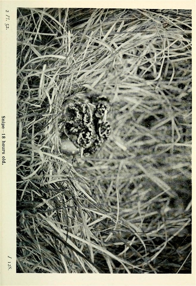 n192_w1150