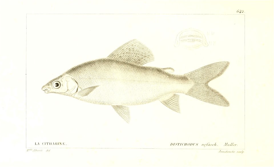 n288_w1150
