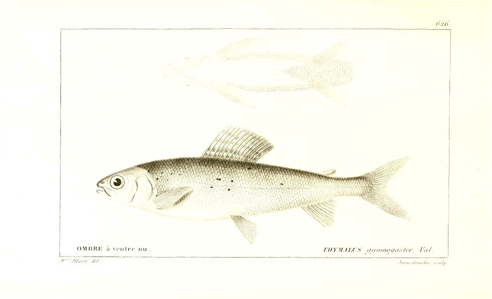 n258_w1150