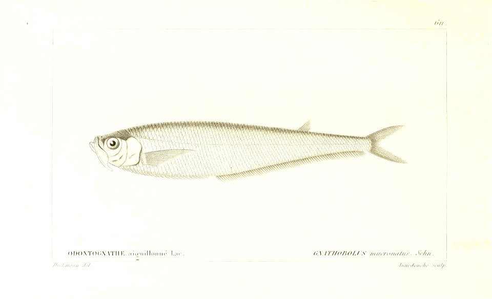 n228_w1150
