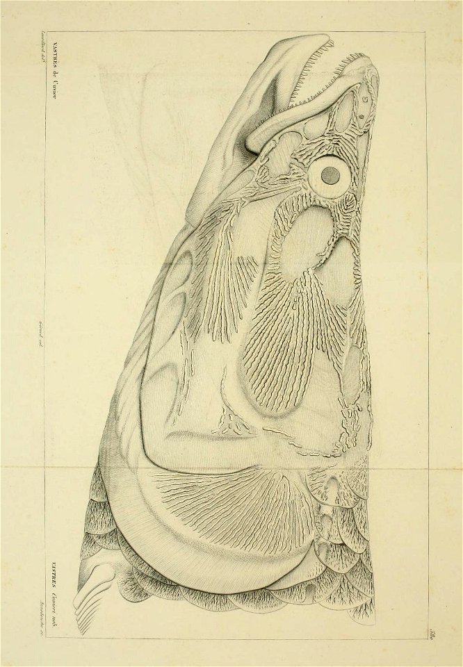 n166_w1150