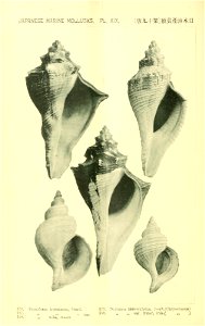 n567_w1150