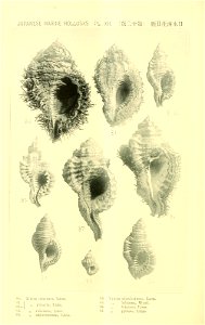 n367_w1150