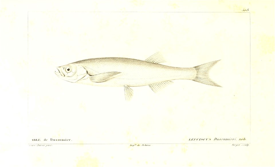 n28_w1150