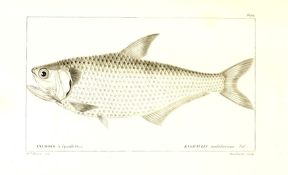 n224_w1150