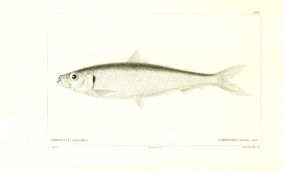 n194_w1150