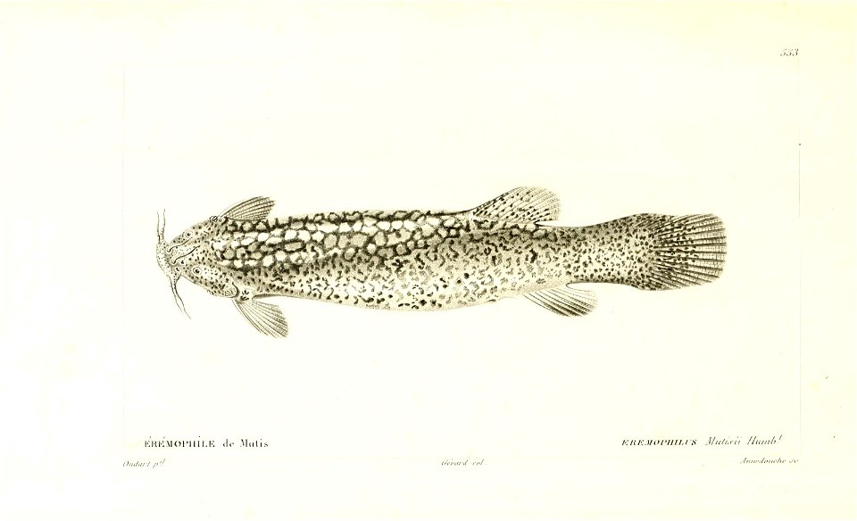 n112_w1150