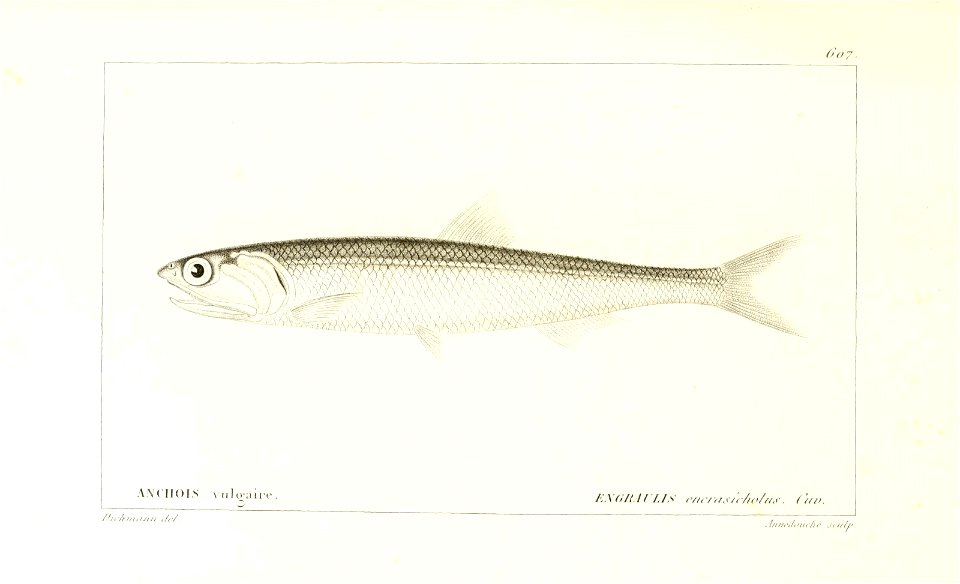 n220_w1150